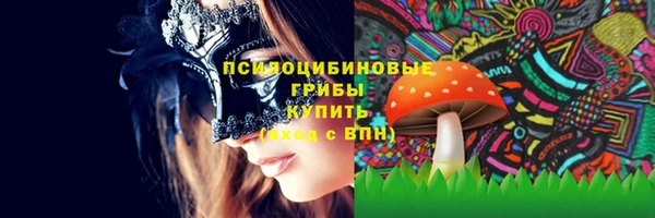 прущие грибы Аркадак