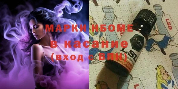 стафф Покачи