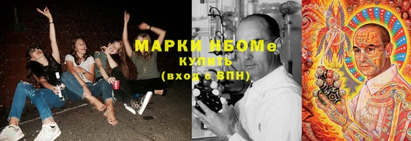 прущие грибы Аркадак