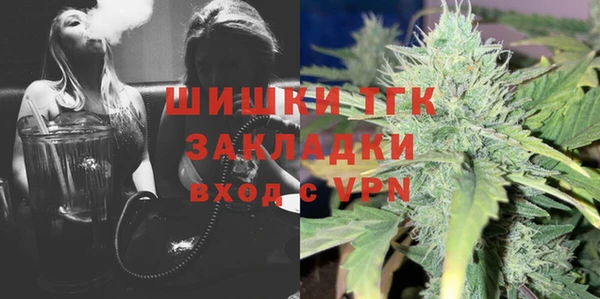 прущие грибы Аркадак