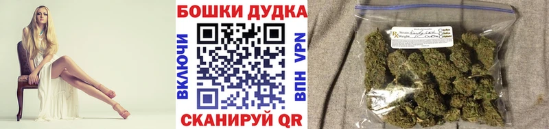 где можно купить   Баксан  Канабис White Widow 